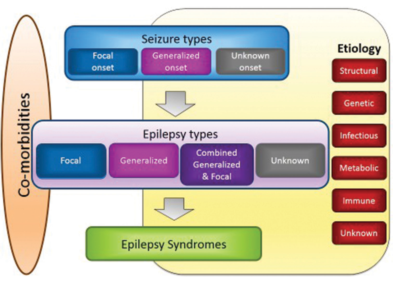Framework for classification of the epilepsies. Denote onset of seizure.[3]
