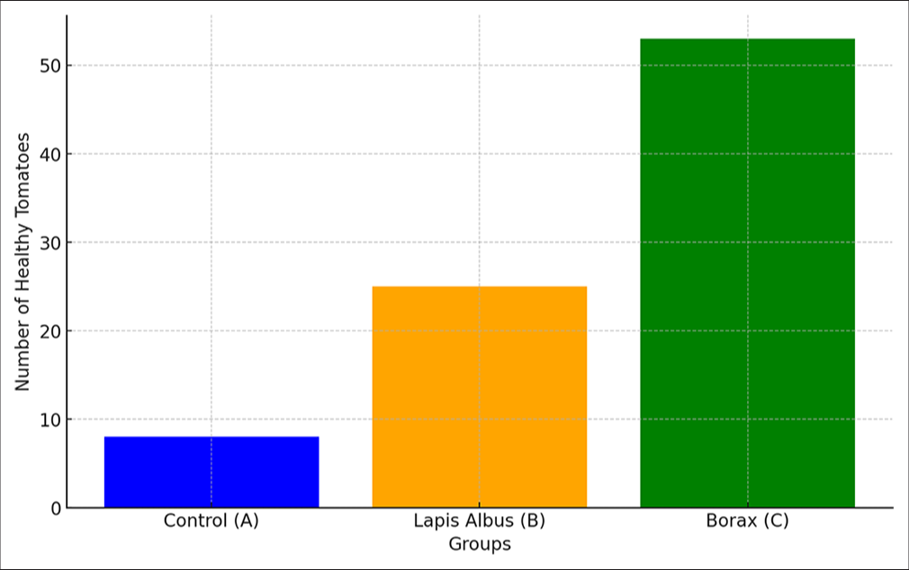 Number of healthy tomatoes by group.