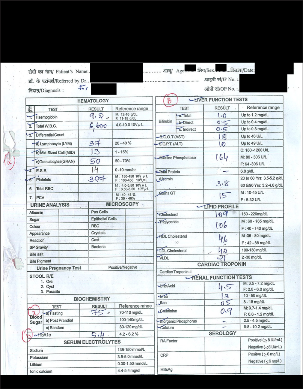 Blood investigations details.